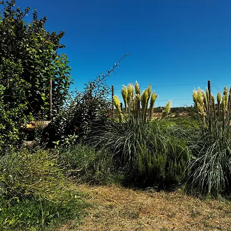 Le Petit Nid - New 2026! Casa vacanze Crayssac